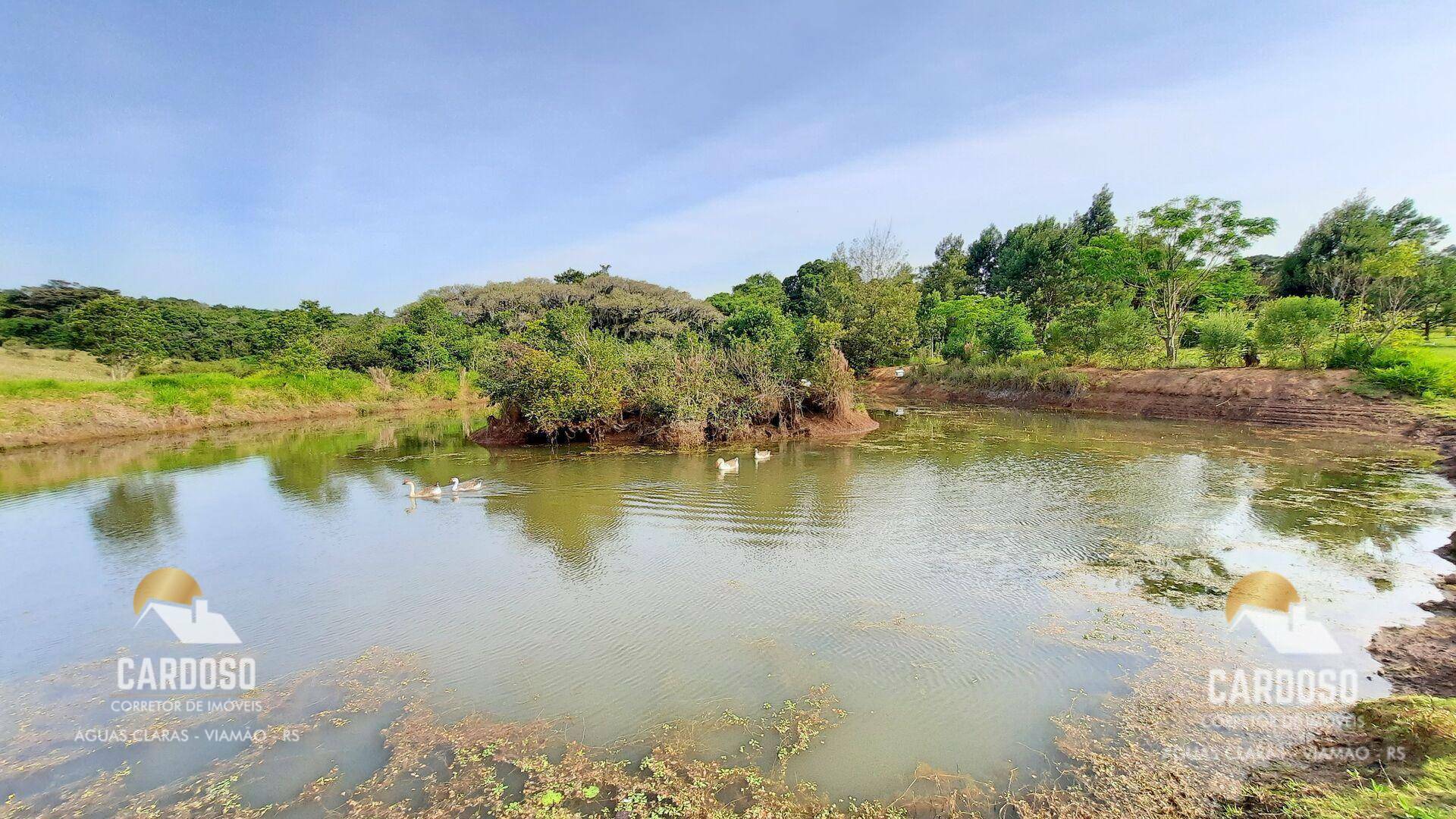 Sítio à venda com 2 quartos, 50000M2 - Foto 7