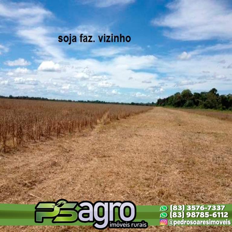 Fazenda à venda, 430000M2 - Foto 10