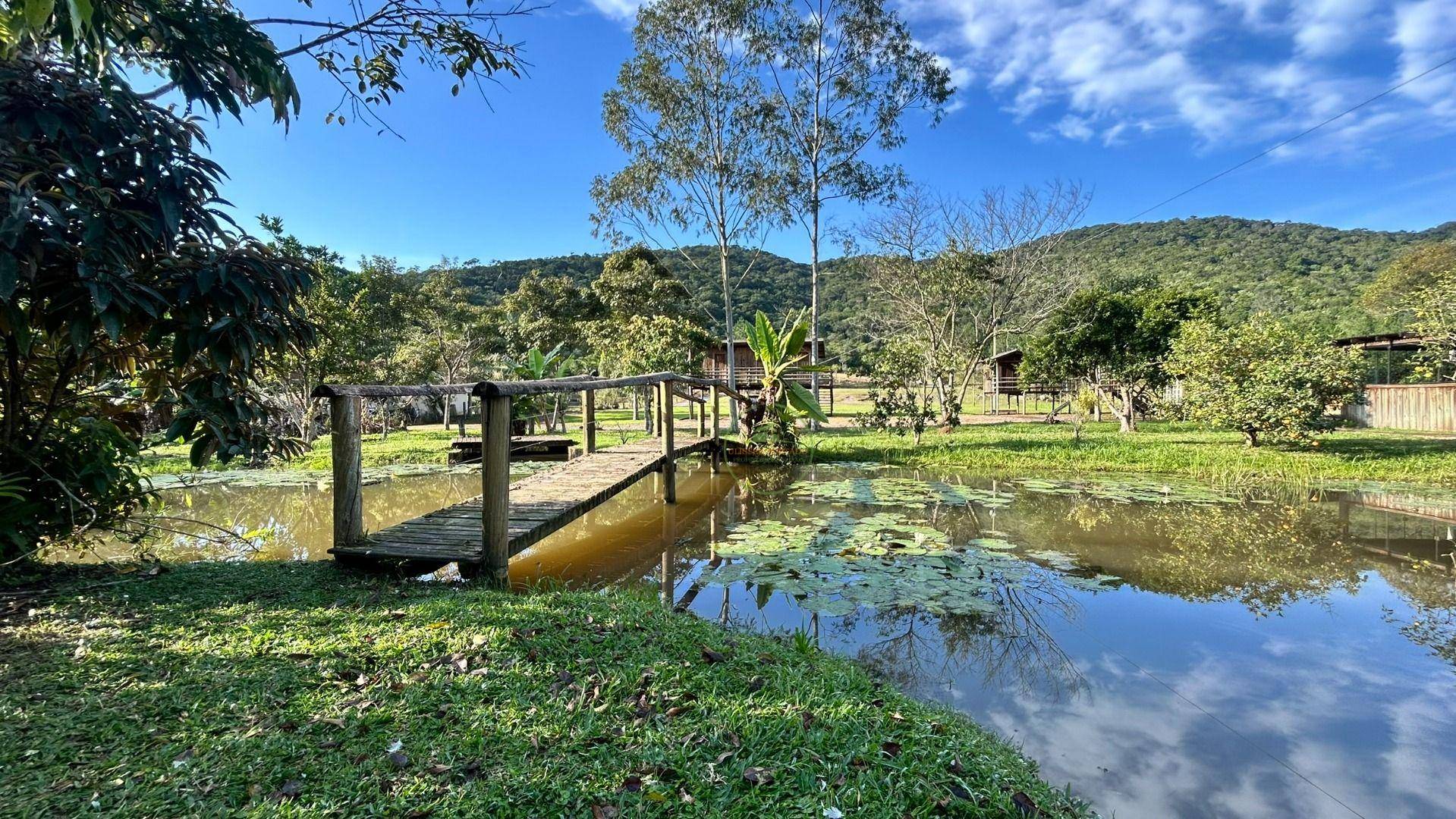 Sítio, 24 m² - Foto 36