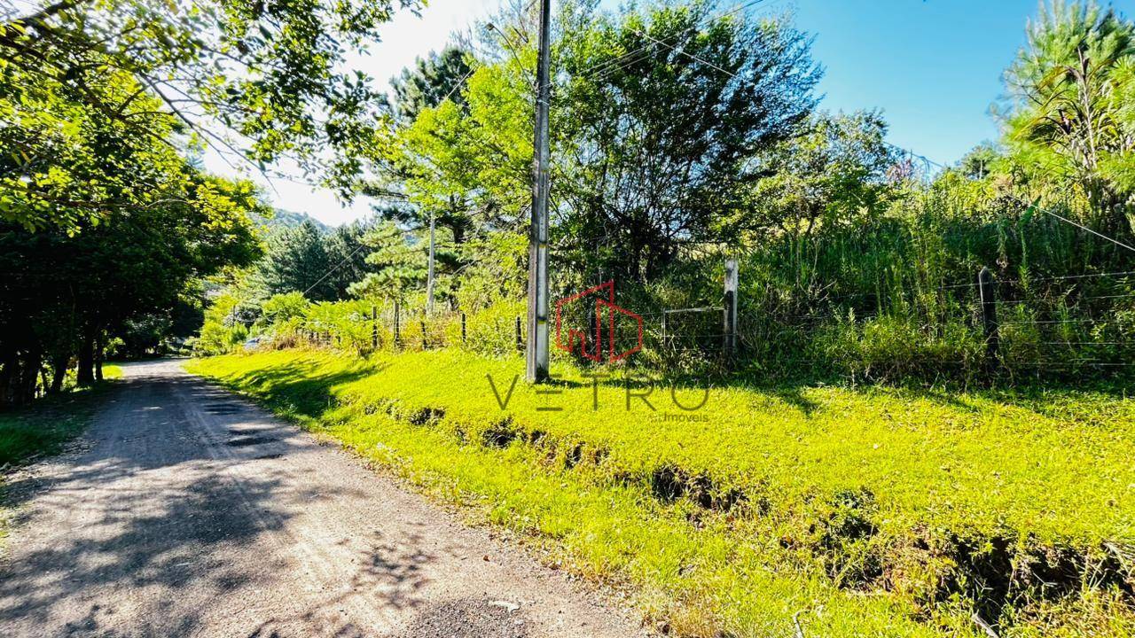 Sítio, 2 hectares - Foto 7