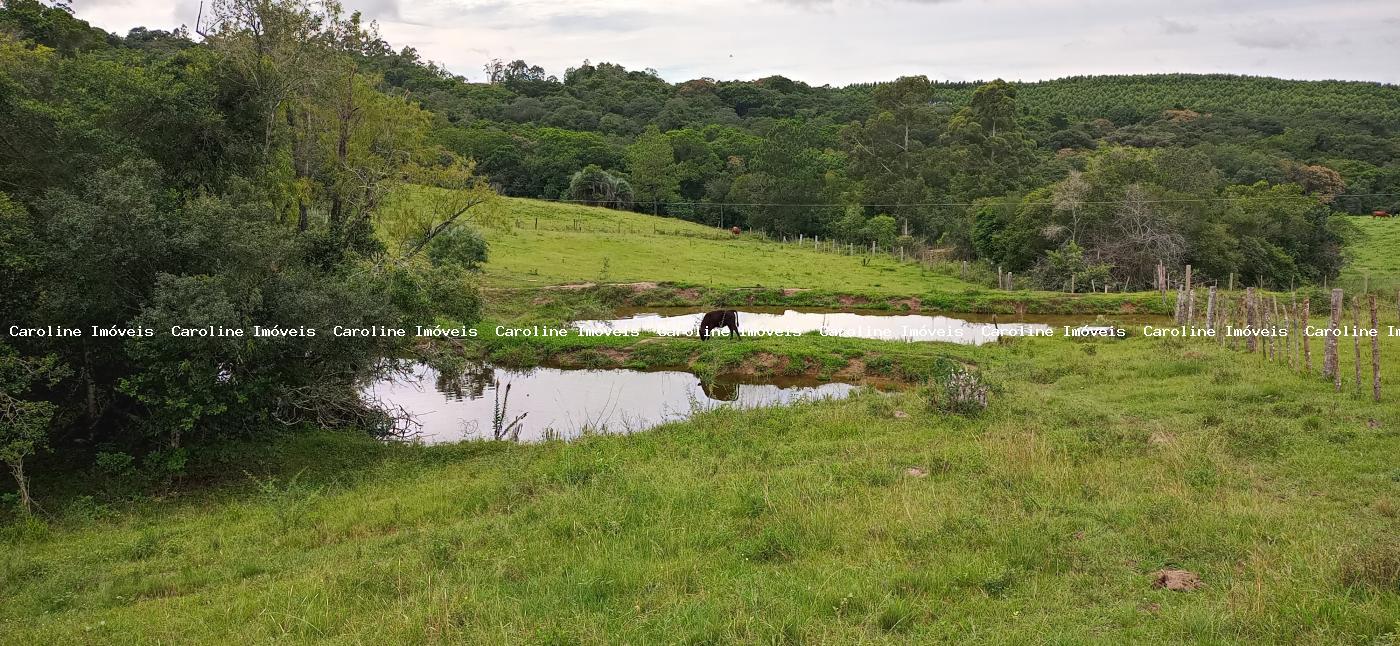 Sítio à venda com 2 quartos, 220000m² - Foto 5