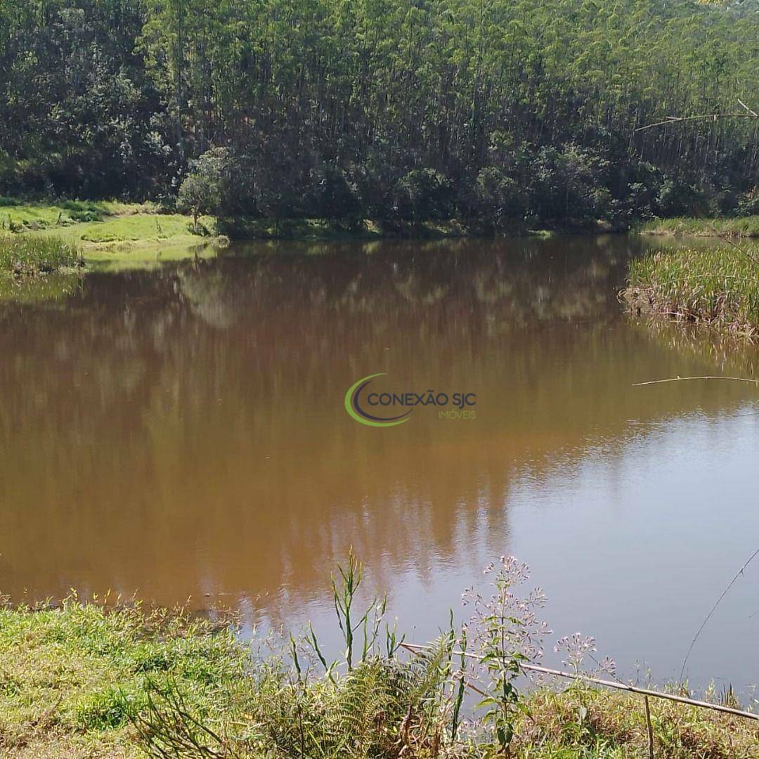Fazenda à venda com 3 quartos, 1452000M2 - Foto 18