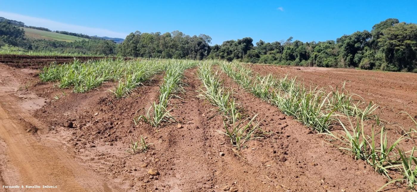 Fazenda à venda, 10m² - Foto 7