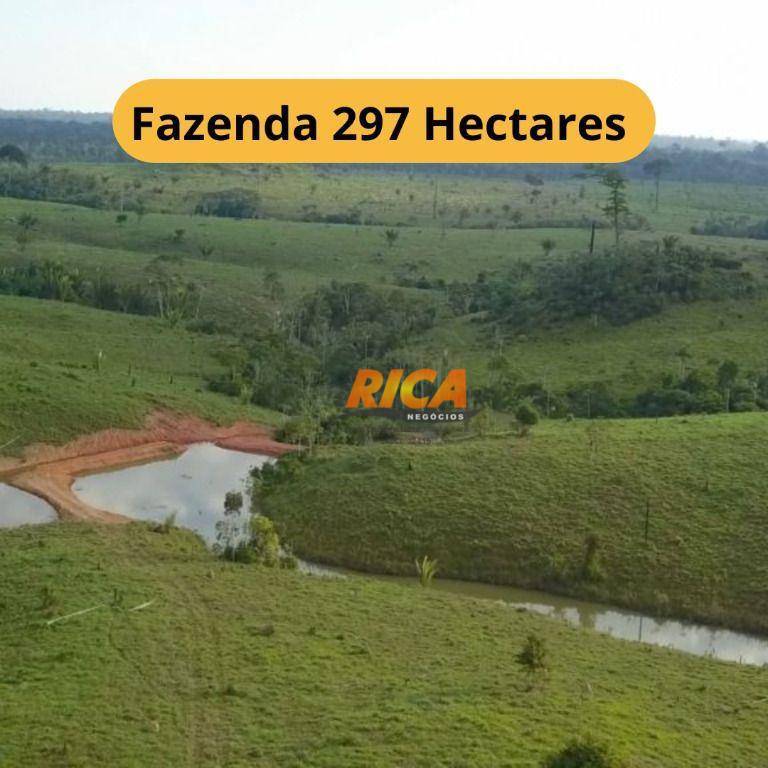 Fazenda-Sítio-Chácara, 297 hectares - Foto 1