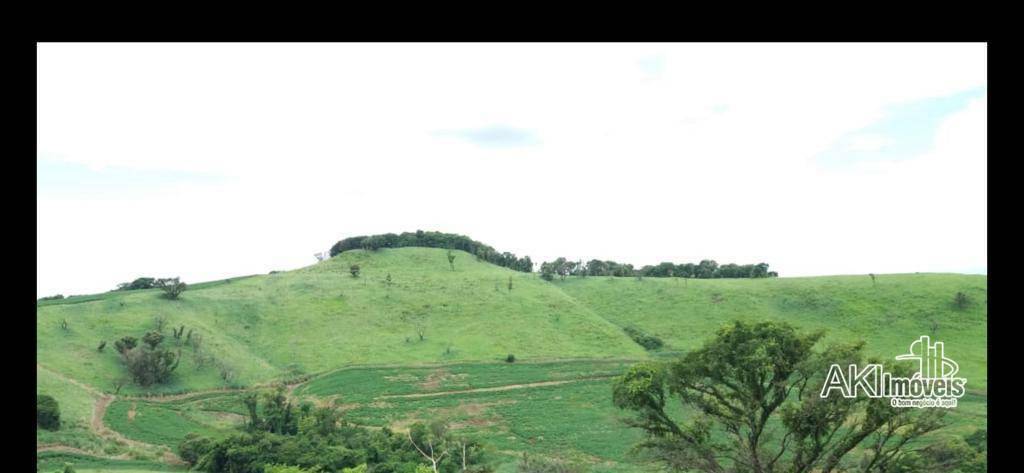Fazenda à venda com 1 quarto, 2819300M2 - Foto 15