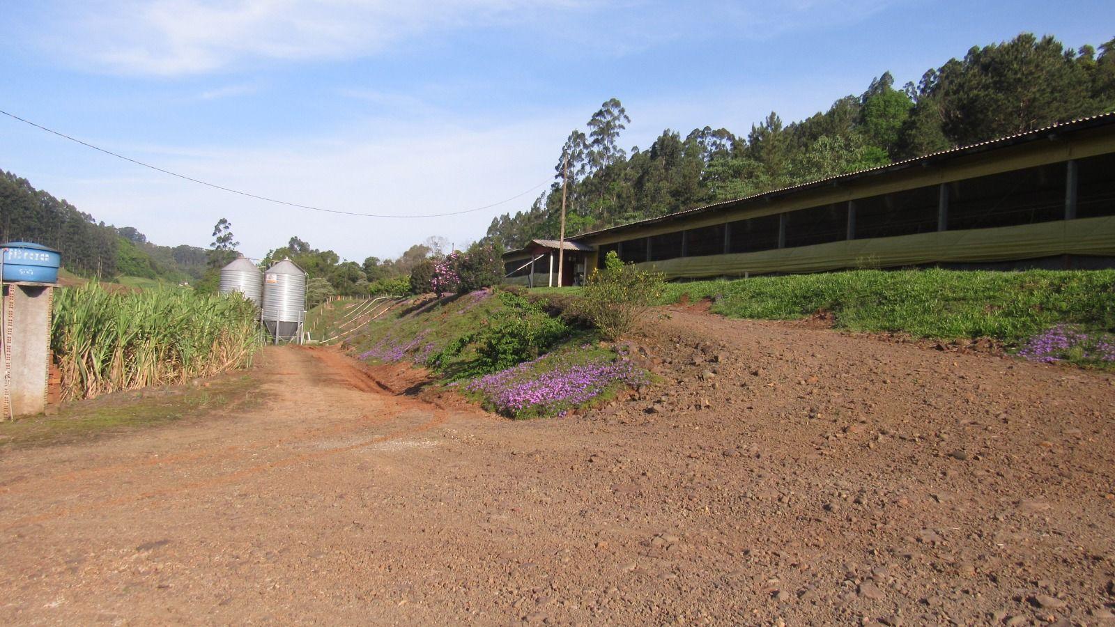 Casa à venda, 510000m² - Foto 27