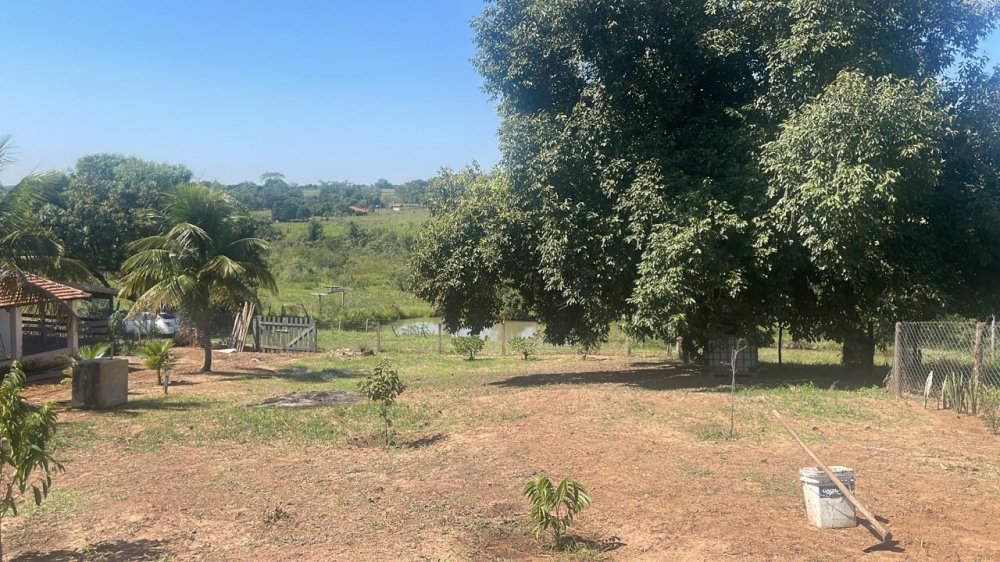 Fazenda à venda com 3 quartos, 45000m² - Foto 9