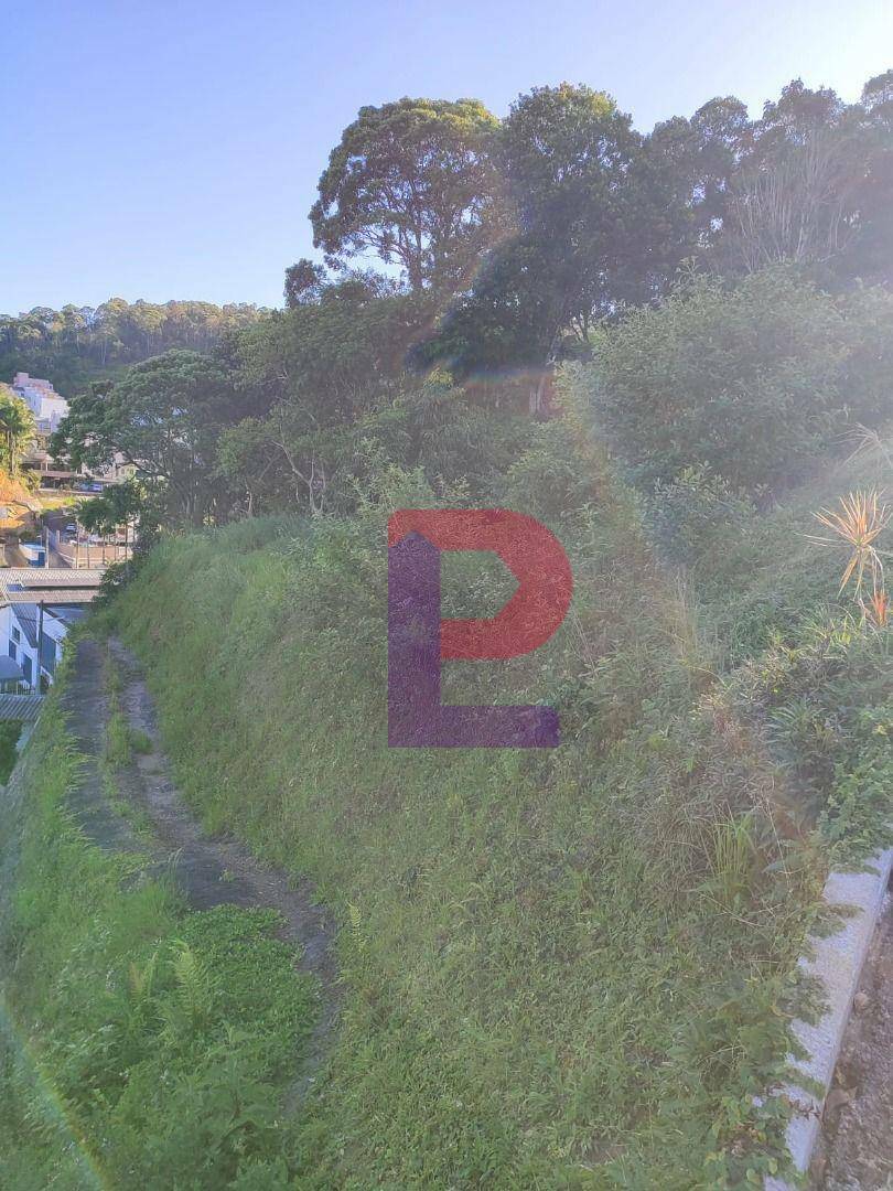 Terreno, 695 m² - Foto 4