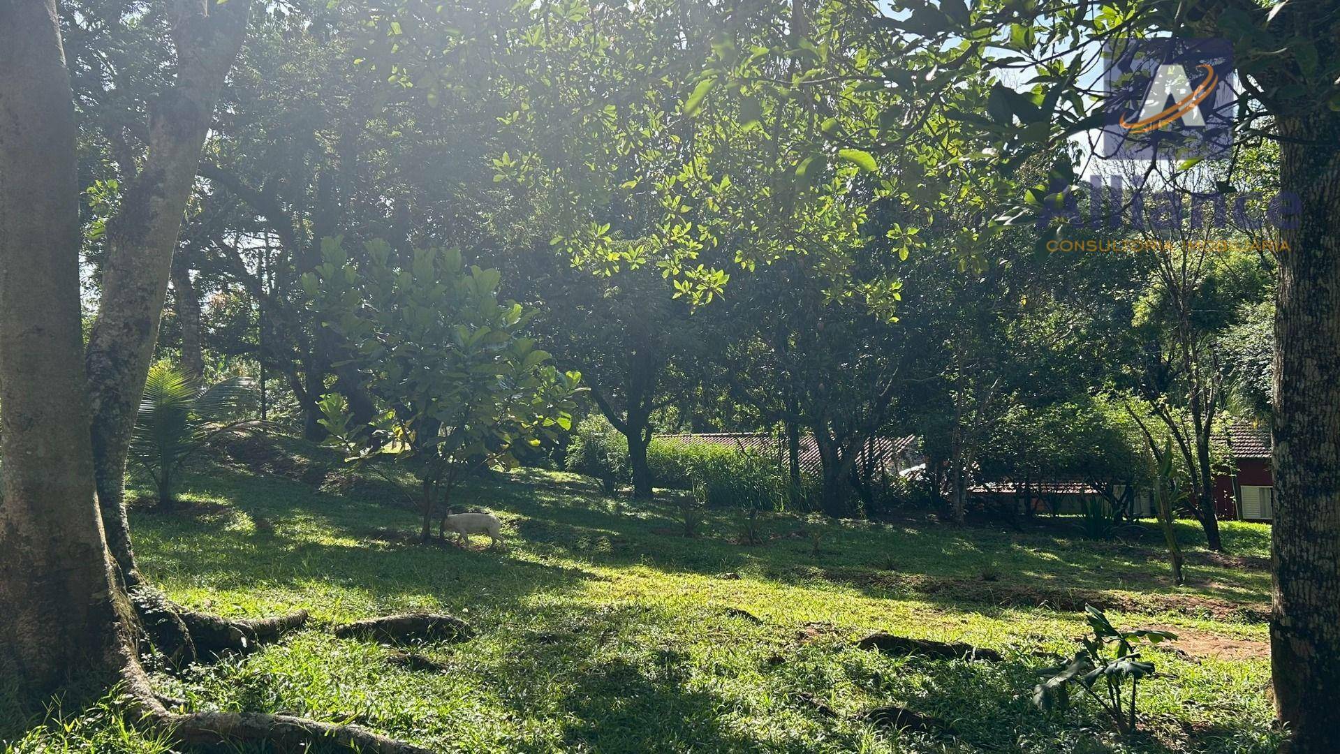 Terreno, 3 hectares - Foto 40