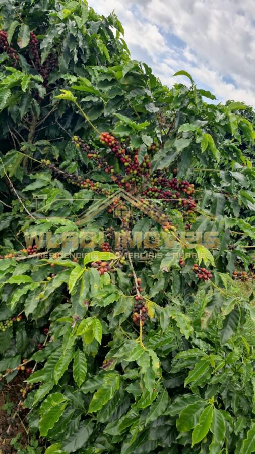 Fazenda-Sítio-Chácara, 177 m² - Foto 3