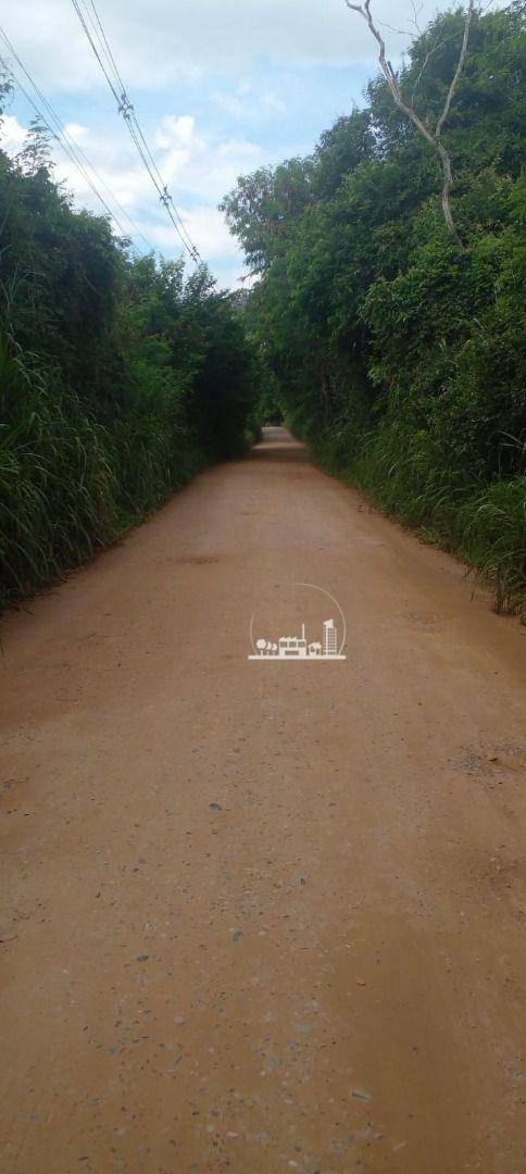Chácara à venda com 1 quarto, 1000M2 - Foto 2