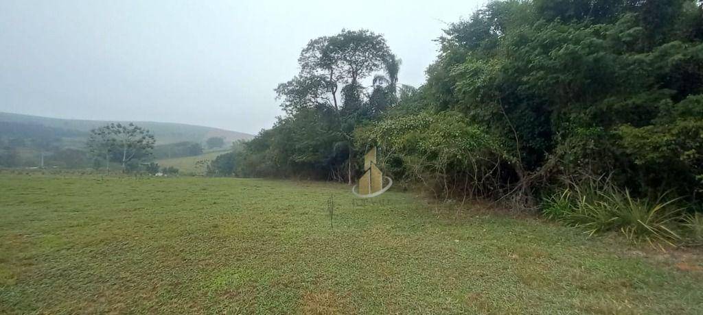 Terreno, 3 hectares - Foto 4