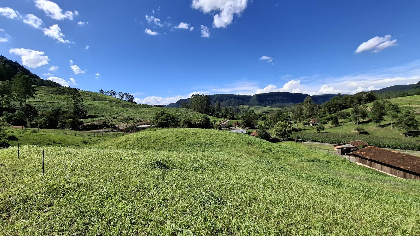 Fazenda à venda com 3 quartos, 20000m² - Foto 47