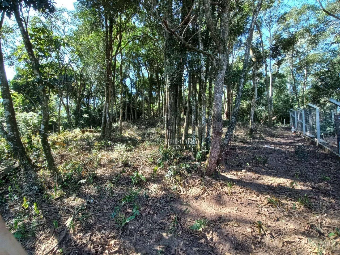 Chácara à venda e aluguel com 3 quartos, 200m² - Foto 44