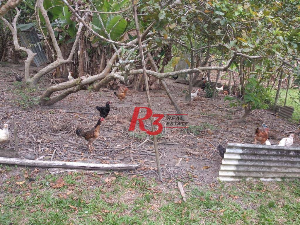 Sítio, 5 quartos, 7 hectares - Foto 38