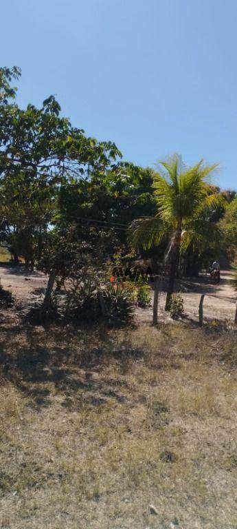 Fazenda-Sítio-Chácara, 1157 hectares - Foto 3