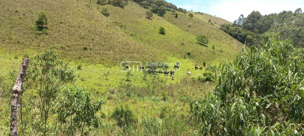 Fazenda à venda com 2 quartos, 150m² - Foto 11