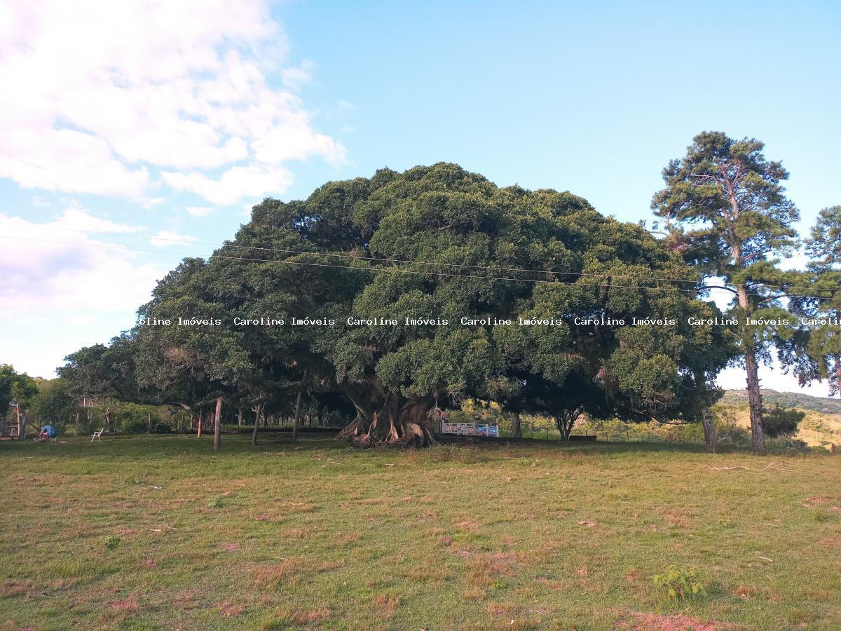 Fazenda à venda, 160000m² - Foto 22