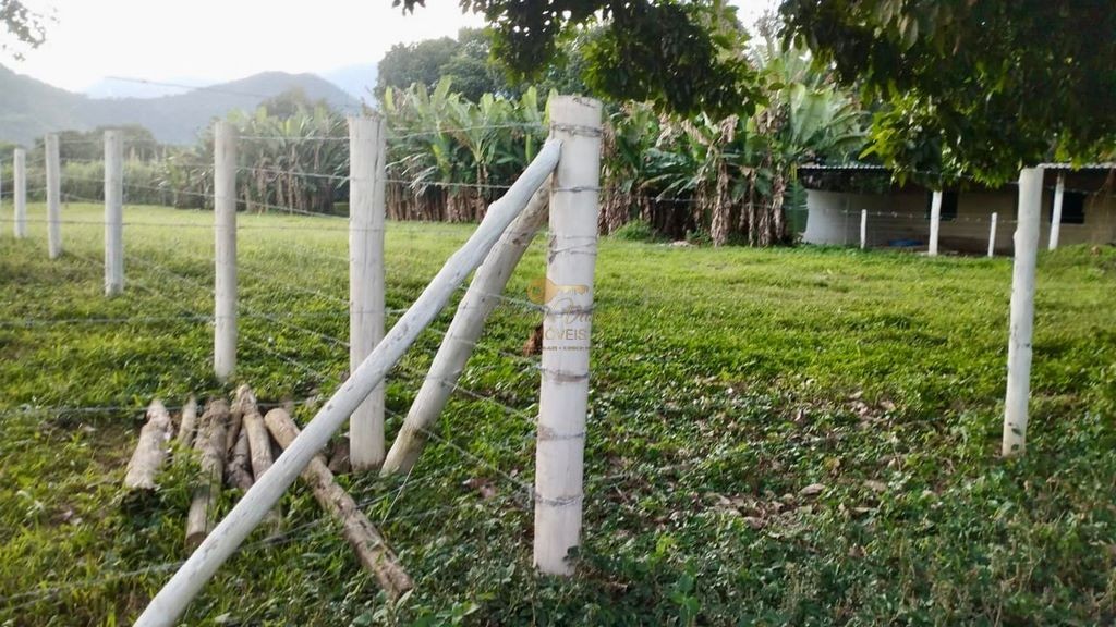 Fazenda à venda com 2 quartos, 90000m² - Foto 7