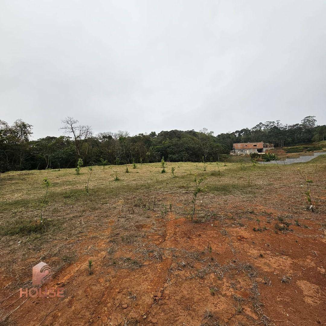 Chácara à venda com 3 quartos, 25000M2 - Foto 11