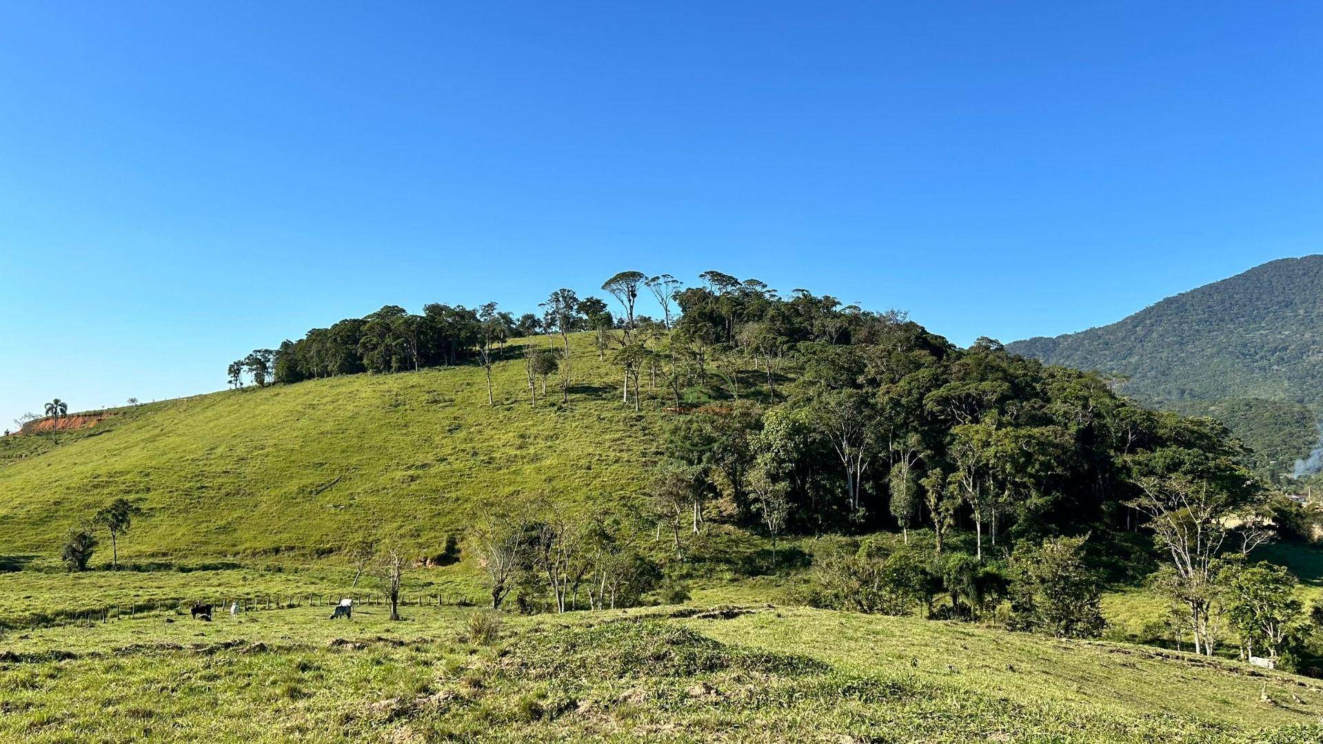 Terreno, 27 hectares - Foto 30