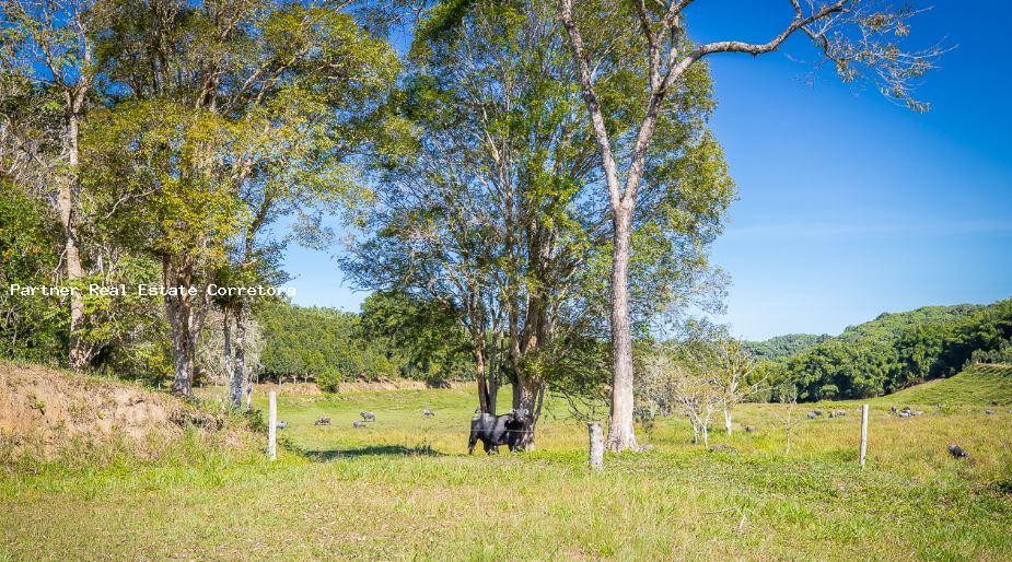 Fazenda à venda com 1 quarto, 2750000m² - Foto 10