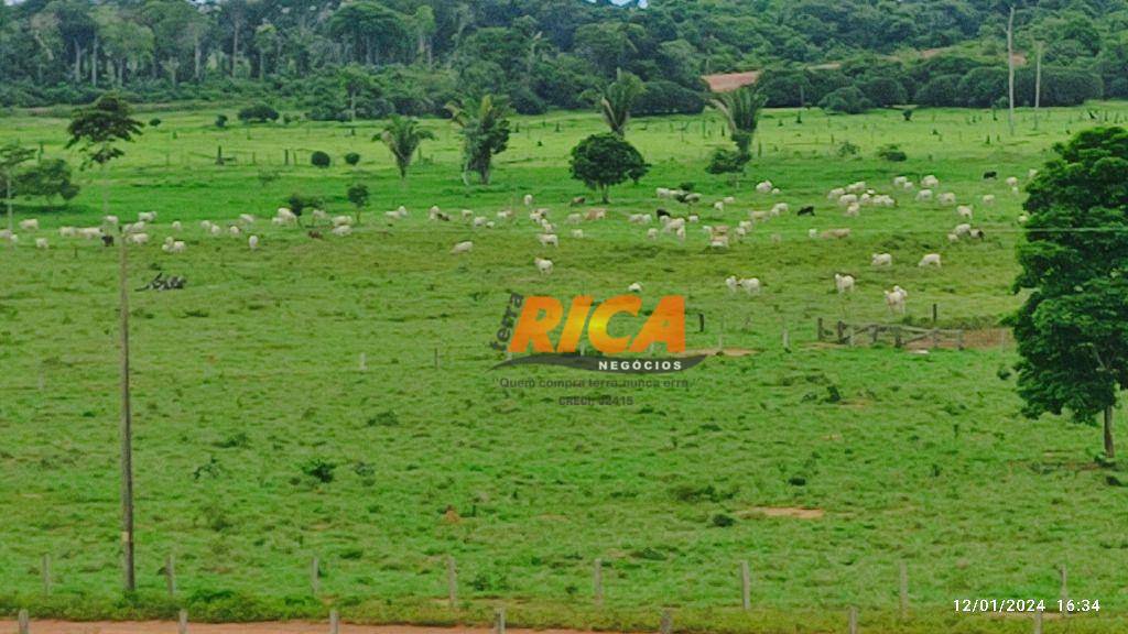 Fazenda à venda, 3300000M2 - Foto 12