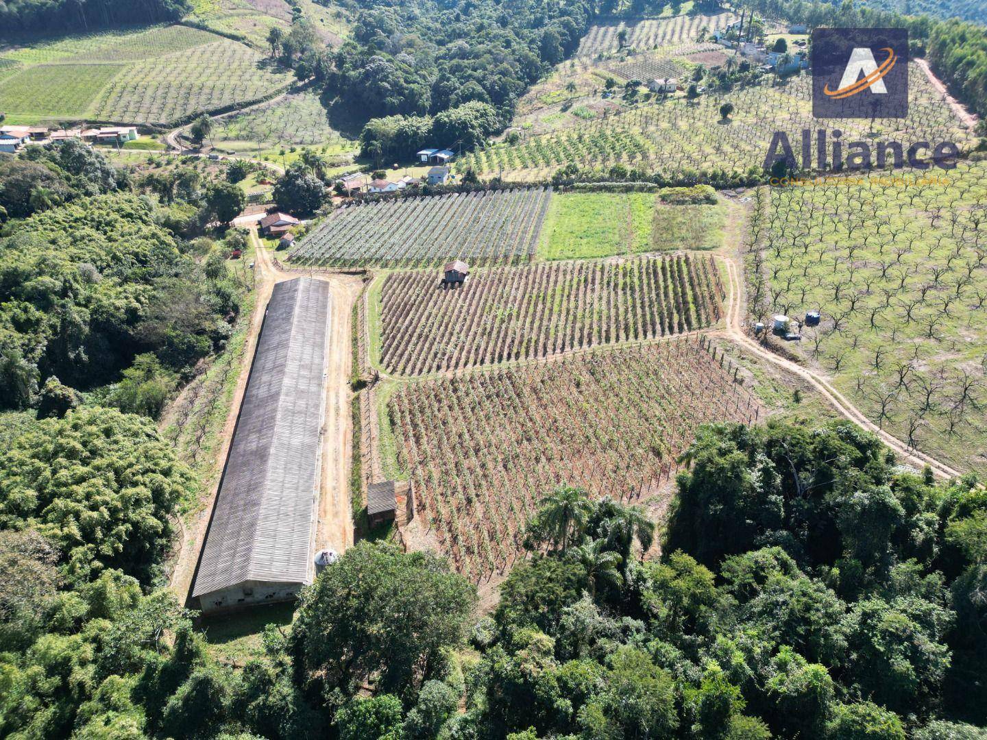 Terreno à venda, 27000M2 - Foto 3