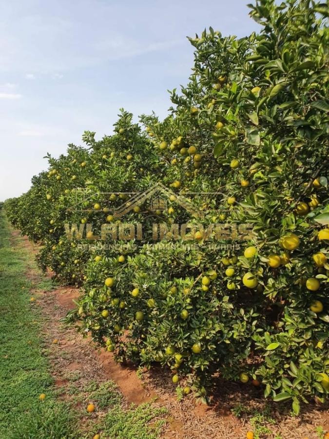 Fazenda à venda, 953m² - Foto 2