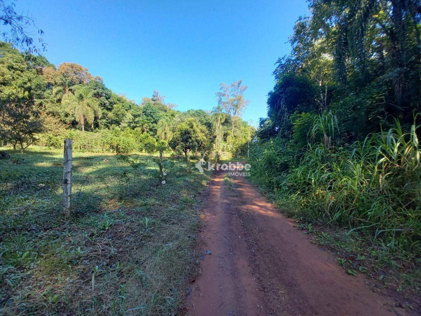 Chácara à venda com 1 quarto, 1m² - Foto 3