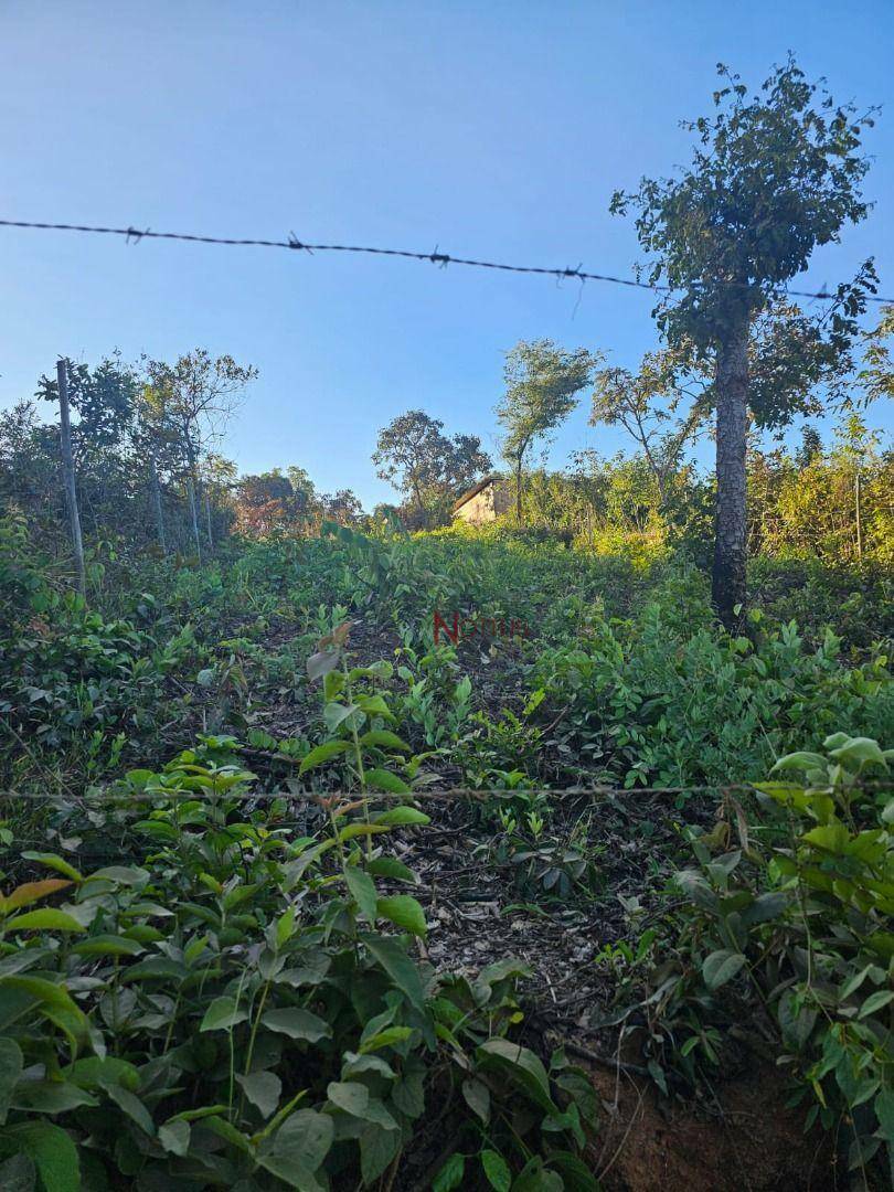 Terreno à venda, 300M2 - Foto 3