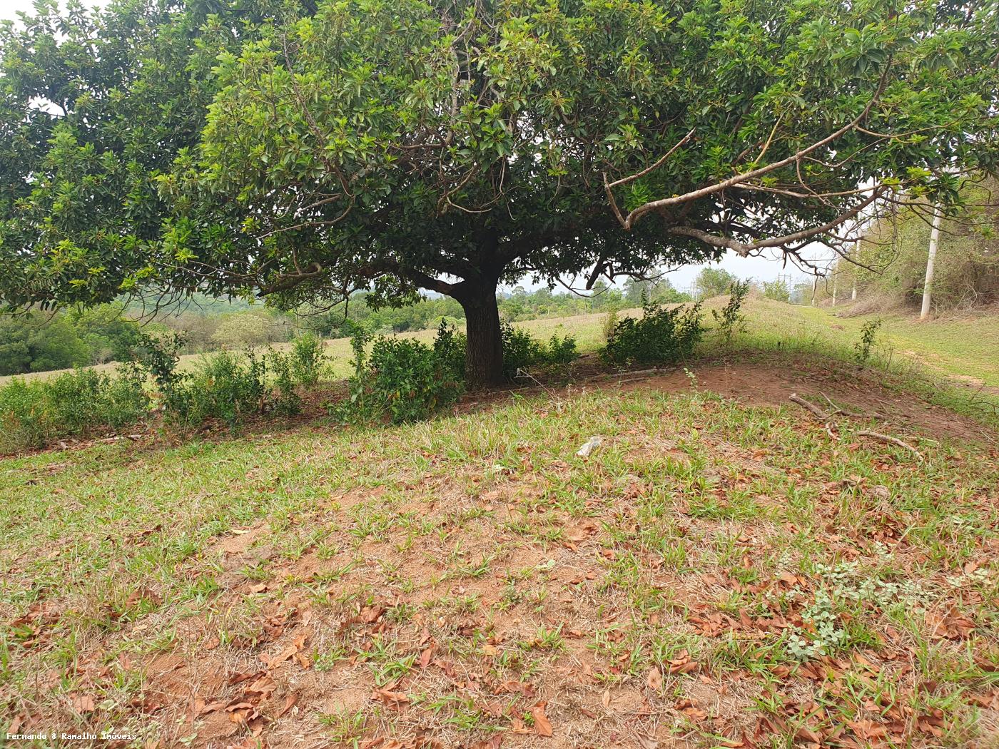 Fazenda à venda com 3 quartos, 80000m² - Foto 23