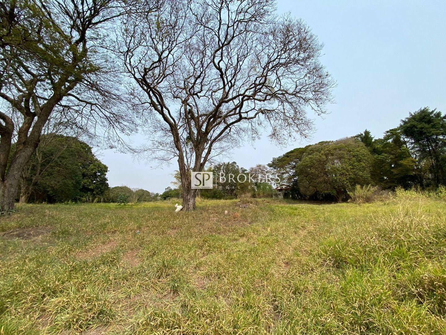 Terreno à venda, 10700M2 - Foto 11