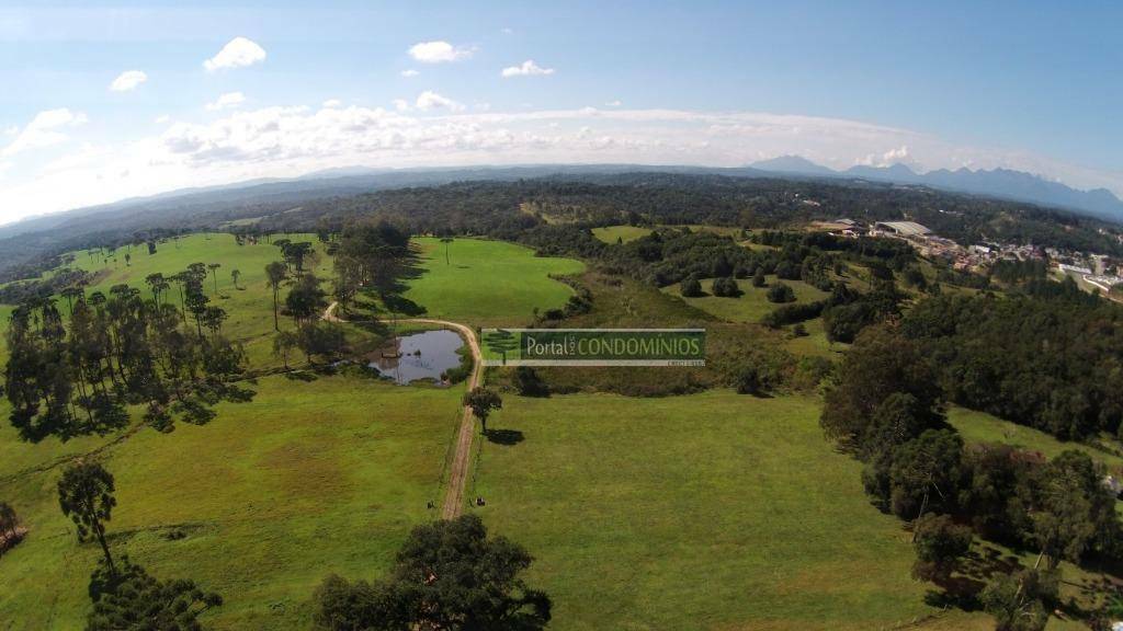 Fazenda à venda com 3 quartos, 1600m² - Foto 5