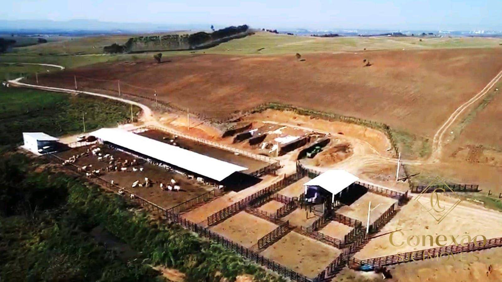 Fazenda, 257 hectares - Foto 18