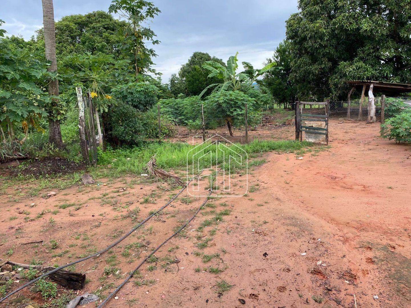 Fazenda à venda com 4 quartos, 40m² - Foto 2