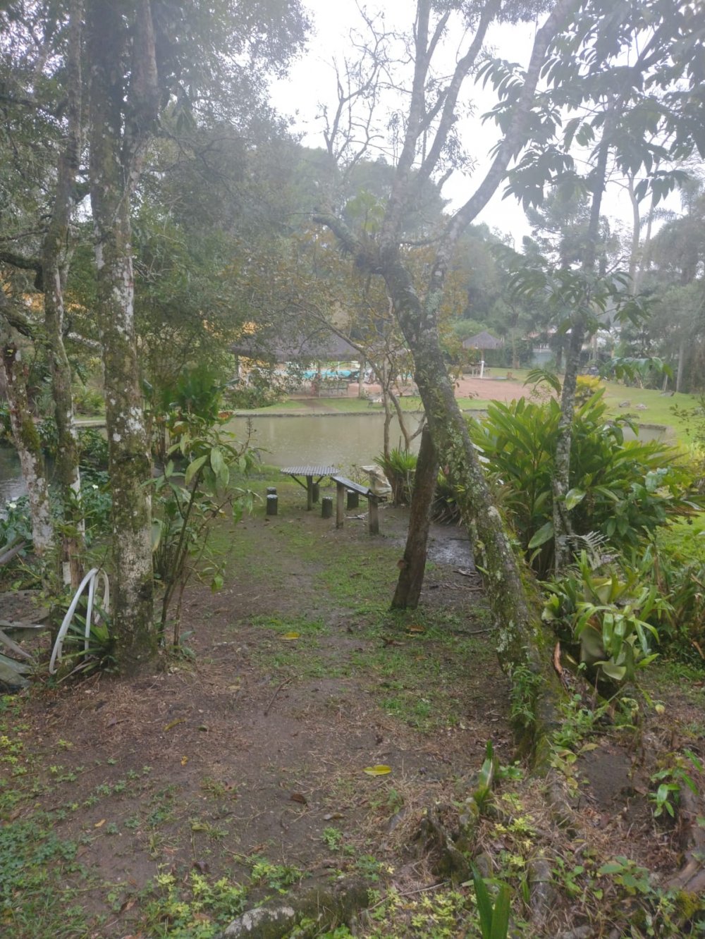 Fazenda à venda com 4 quartos, 4500m² - Foto 13