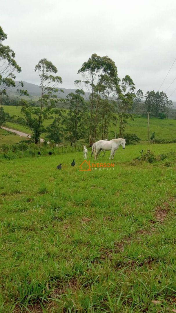 Fazenda à venda com 2 quartos, 2662000M2 - Foto 7