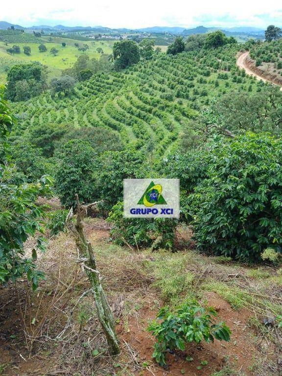 Sítio, 44 hectares - Foto 1