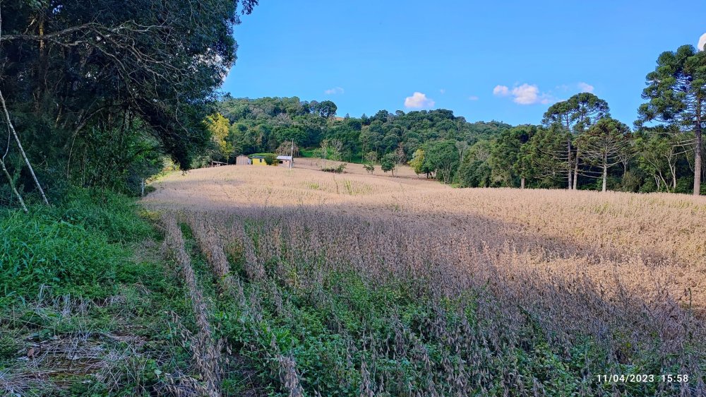 Fazenda à venda, 9m² - Foto 3