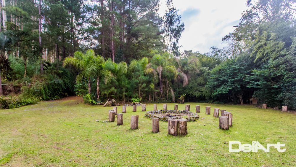 Chácara à venda com 7 quartos, 36600M2 - Foto 11