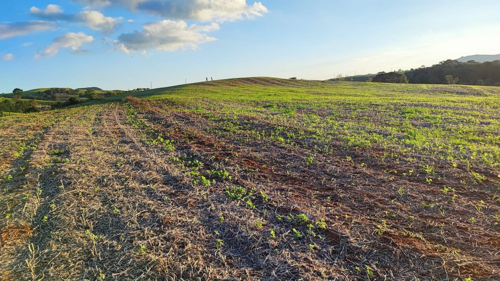 Fazenda à venda, 13m² - Foto 1