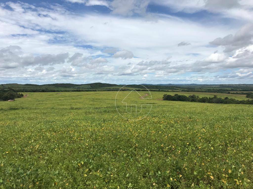 Fazenda à venda, 118290000M2 - Foto 59