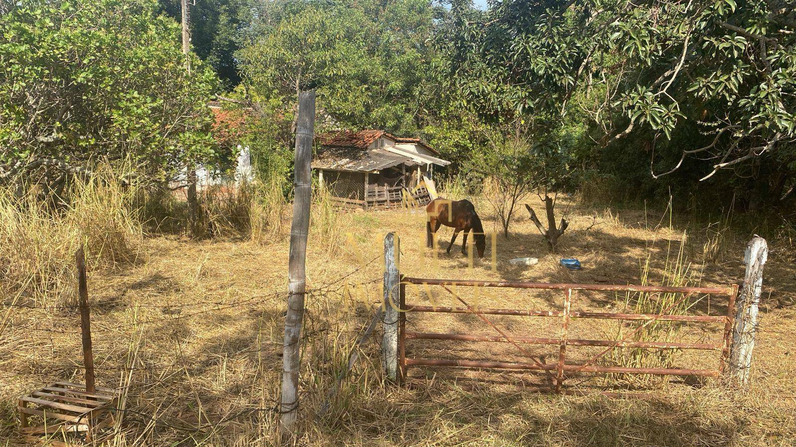 Chácara à venda com 3 quartos, 200m² - Foto 7