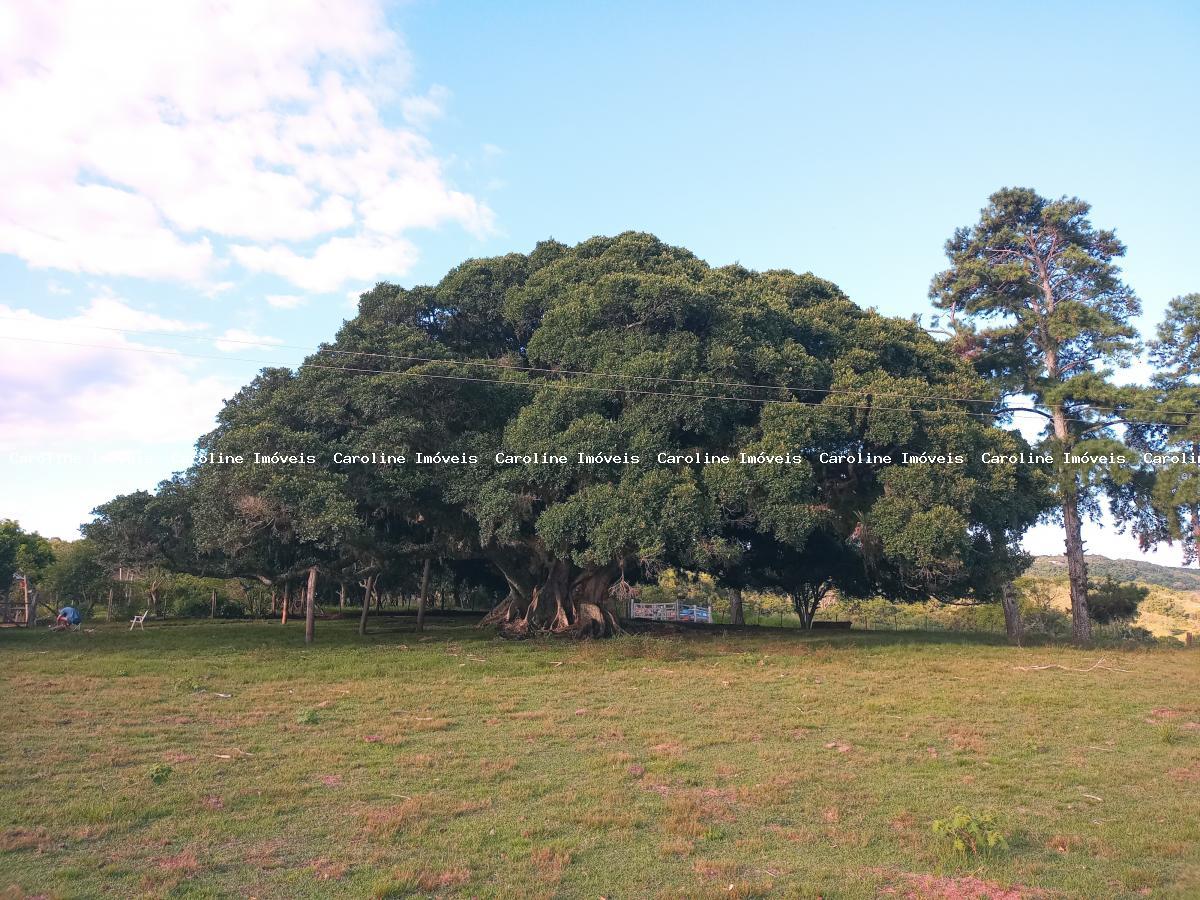Chácara à venda, 160000m² - Foto 22