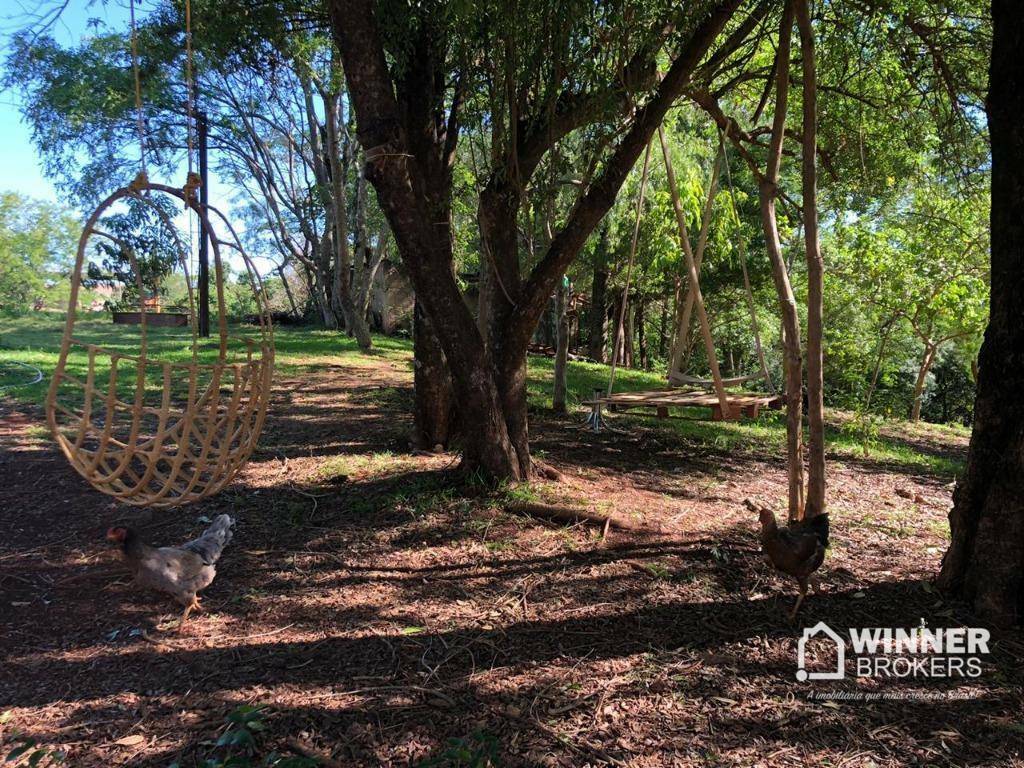 Chácara à venda com 1 quarto, 4000M2 - Foto 15