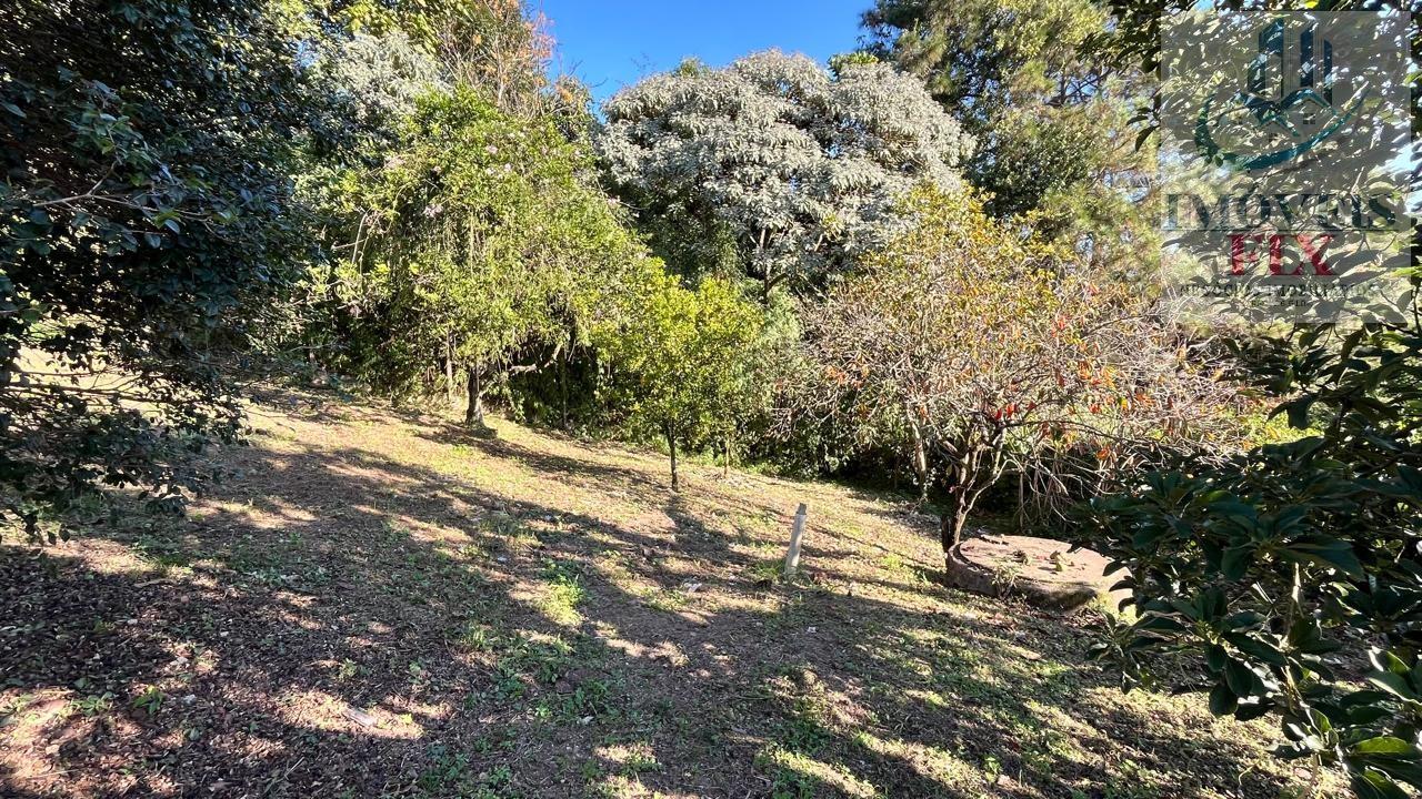 Chácara à venda com 4 quartos, 4692m² - Foto 48