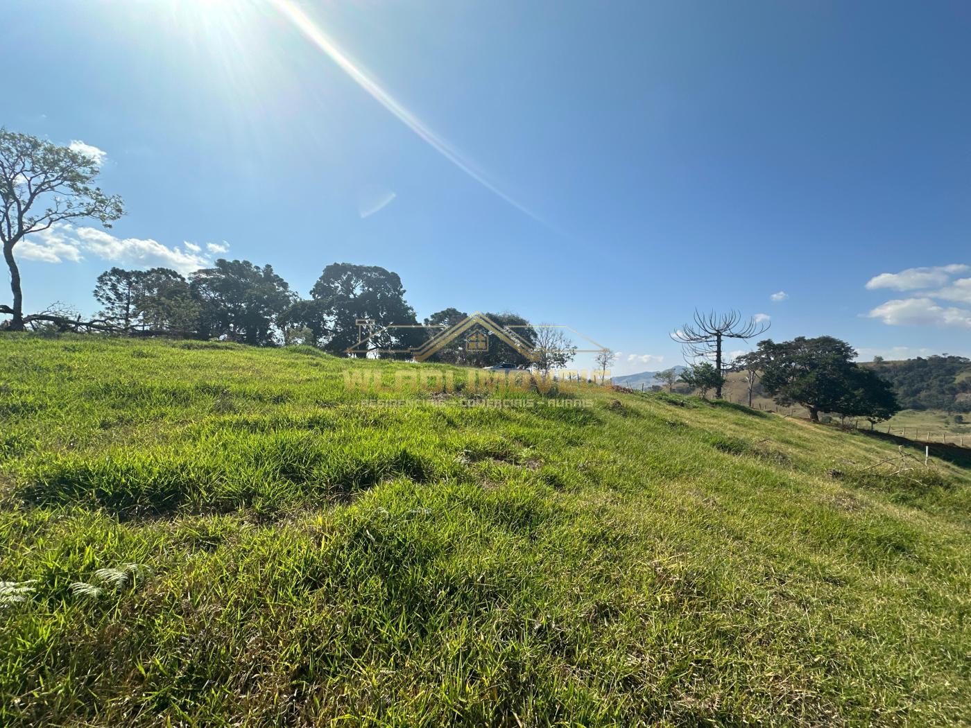 Terreno à venda, 26000m² - Foto 8