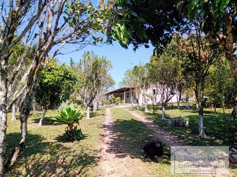 Chácara à venda com 3 quartos, 2995m² - Foto 12