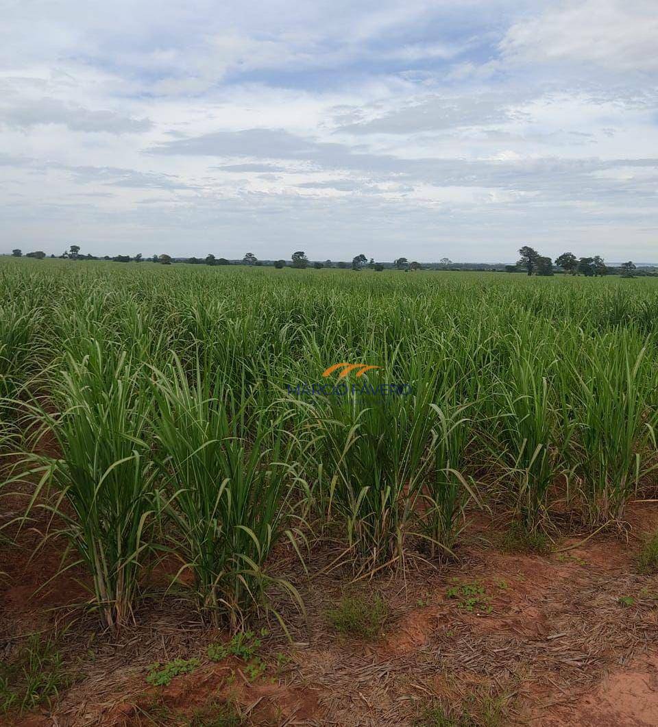 Fazenda à venda, 3146000M2 - Foto 10